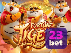 Guia install APK BET23 BR